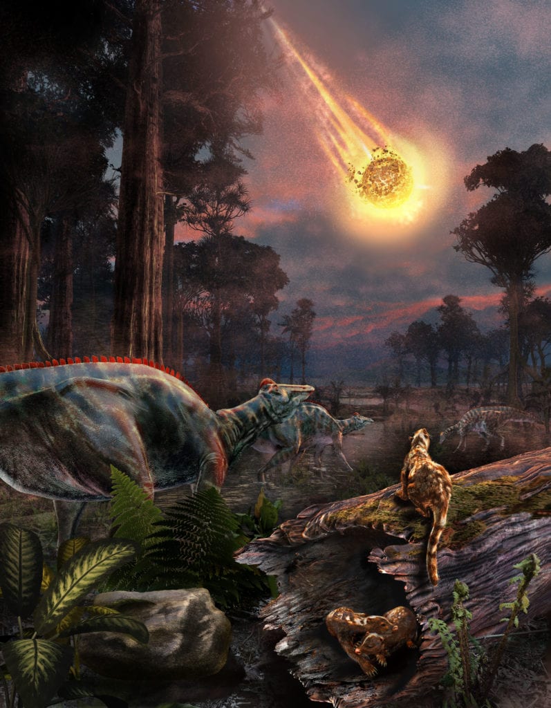 Extinction of the Dinosaurs from yucatan asteroid scientific illustration by Nicolle R. Fuller
