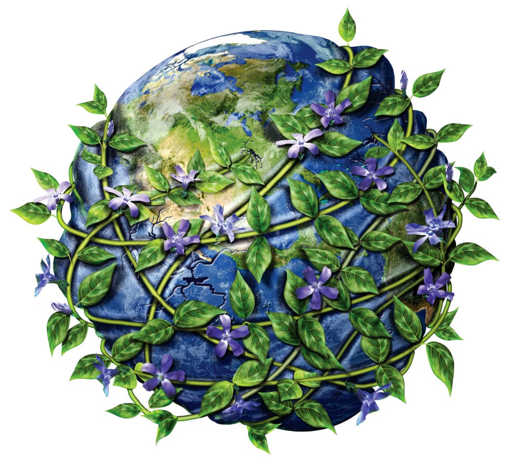 Invasive Plants art of vinca flowers strangling globe. By Nicolle r fuller