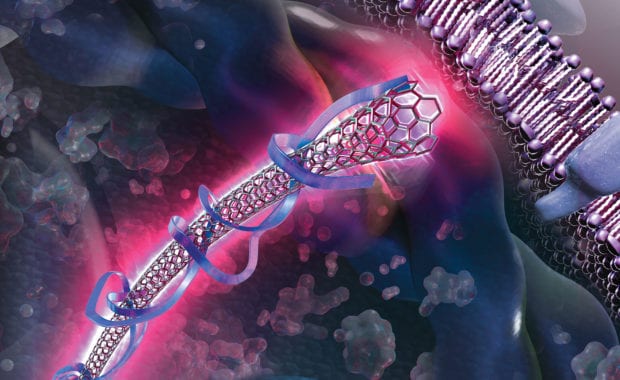 Illustration of Nanotube wrapped in RNA shown inside a cell by Nicolle Fuller, Sayo Studio