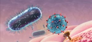 Combating Bacterial Disease Animation Still