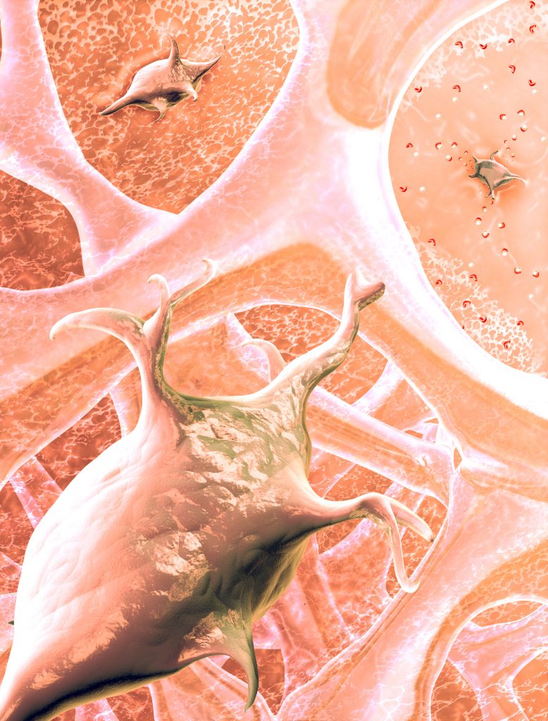 Science illustration of a stem cell making it's way through a gel. Created by Nicolle R. Fuller, SayoStudio