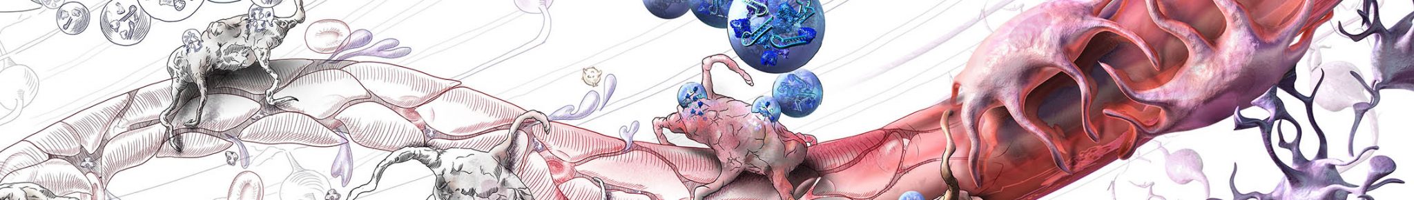 biotech illustration sketch to 3d art