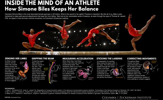 athlete gymnast neuroscience illutsration infographic