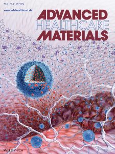 Cancer therapeutic MOA nanosphere drug delivery scientific illustration for Healthcare Materials journal cover, by Nicolle R. Fuller, SayoStudio