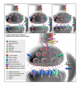 illustrated science figure of ketamine biochemistry in neurons and signalling pathway, by SayoStudio