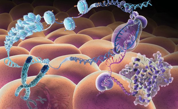 Central Dogma of Biology illustration showing genes (chromosomes) to RNA to proteins.