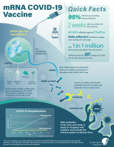 What is in the mRNA vaccine? COVID-19 mRNA vaccine infographic fact sheet designed by Claire Agosti, SayoStudio