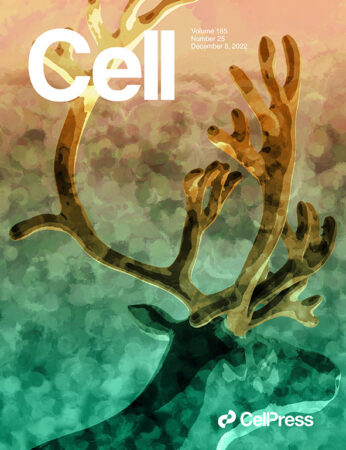 Science Art of Reindeer for the cover of Cell Press.