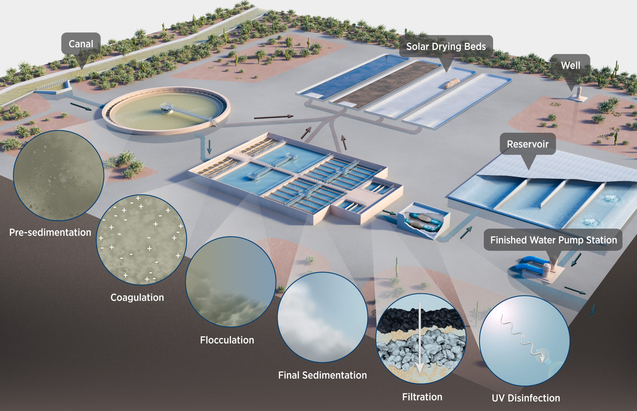 Science infographic showing water being treated at a large facility by SayoStudio.
