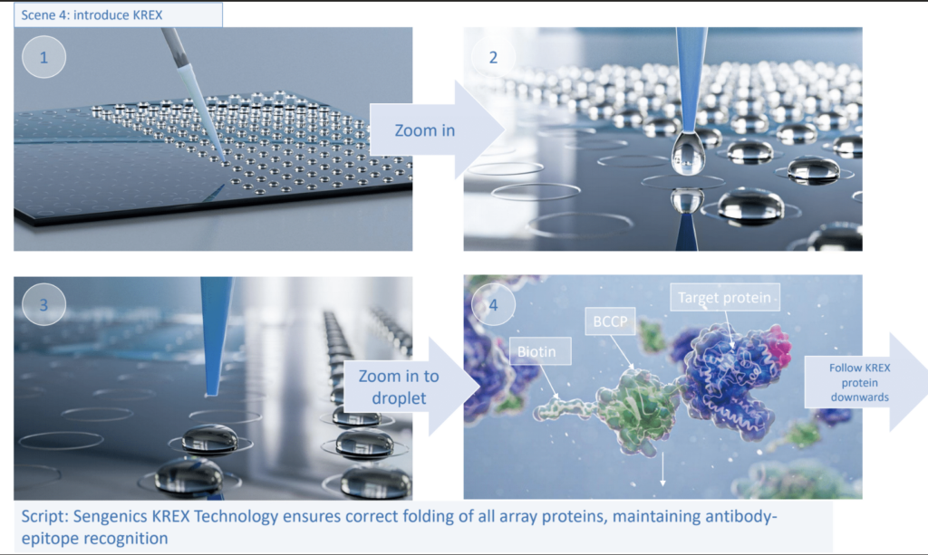 Concept development shows style snapshots of the animation in a laboratory setting, showing a storyboard with fully fleshed out 3D array proteins and antibody-epitope recognition. © Thom Leach, SayoStudio.